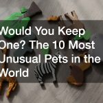 small animal toys