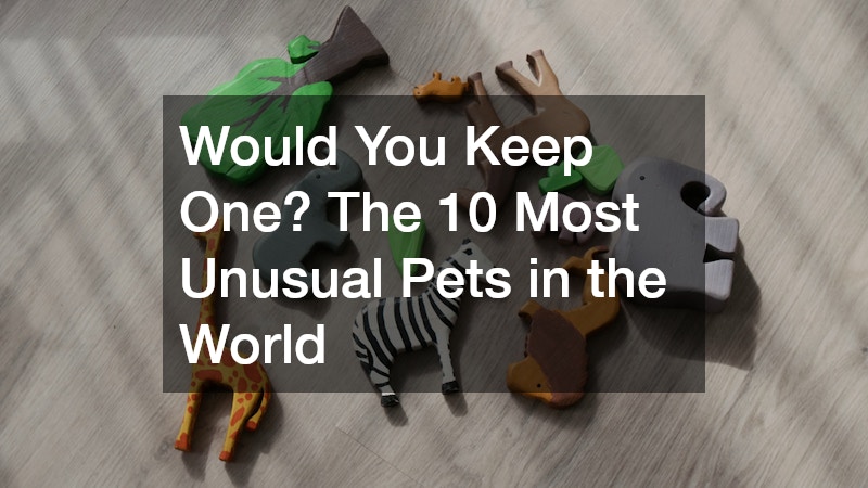 small animal toys